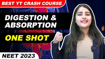 Digestion & Absorption - One Shot | Best YT Crash Course | @SeepPahuja #neet2025