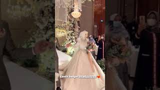 Pangling Resepsi Ria Ricis & Teuku Ryan Seperti Raja Ratu