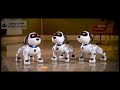 ロボット犬のスタントドッグ (STUNT DOG)  犬を飼ってみたい方におすすめのペットロボット！簡易プログラミングと英語音声指示もできる！お座り、逆立ち、挨拶など様々な技で元気づけてくれます