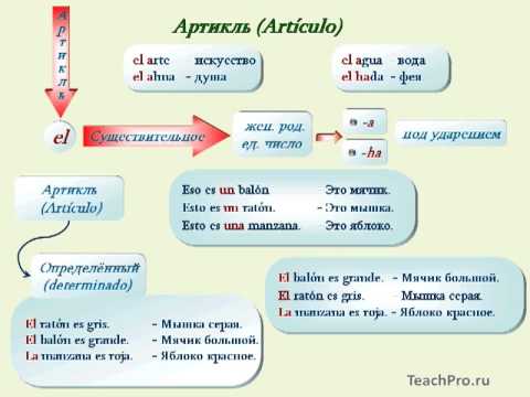 Множественное число в испанском языке таблица