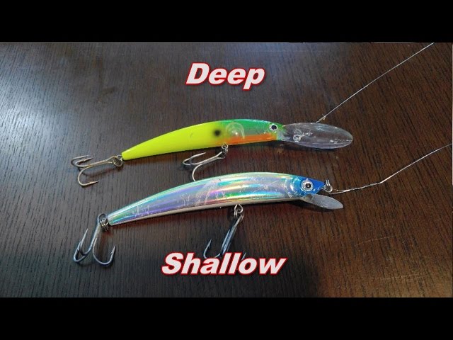 Pt. 3 How to Prepare for and Catch King Mackerel - Lures and Baits for  Kingfish 