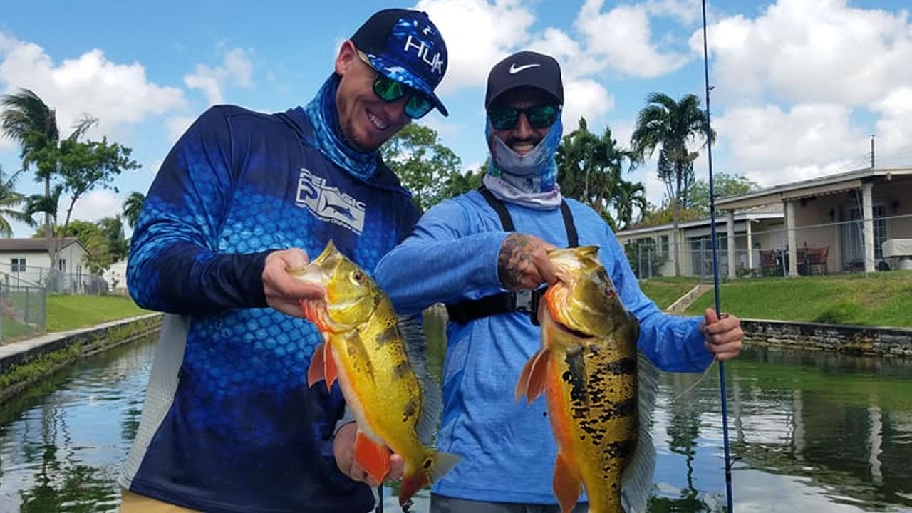 Miami Falls Canal System -#1 Best Miami Florida Peacock Bass