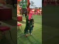 Let's  party