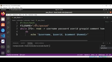 Bash script to read file /etc/passwd line by line