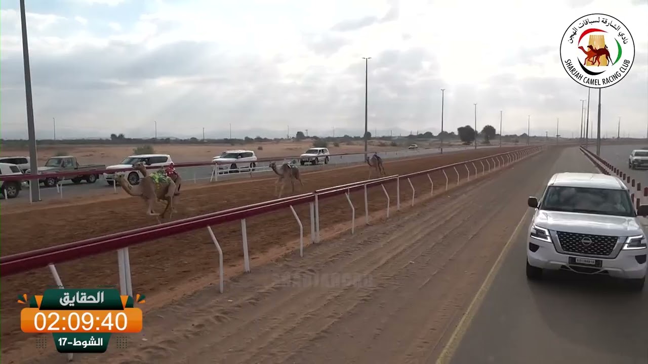 ميــدان الذيد - ش 17 الحقايق 17/01/2026  الظبي لـ راشد مهير سعيد محمد الكتبي.  التوقيت: 4:28:69