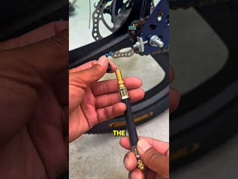 «Тrendy Гаджеты и Софт в РФ: Обзор Новинок»