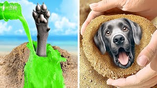 I Found a Little Dog in the Sand 🐾🙀 Best Gadgets and DIYs for Pets by Coolala 2,912 views 6 days ago 1 hour, 20 minutes