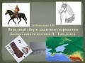 Дедюлькин А. В. Элементы снаряжения боевых коней меотов