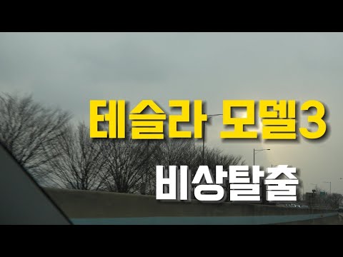   테슬라 비상탈출 테슬라모델y 모델3 미리미리 알아둬야 합니다 긴빅한상황이 닥치면 당황해요 테슬라 테슬라모델3 테슬라모델y