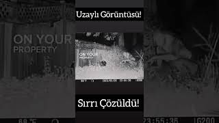 Gerçek Uzayli Görüntüsü Mü? Resimi
