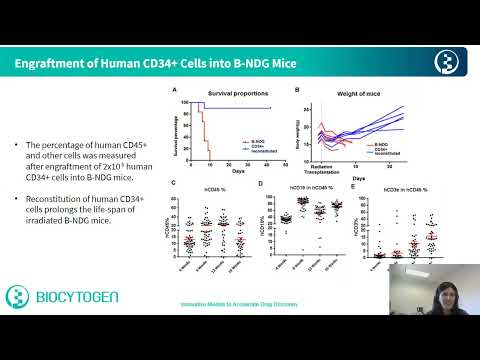 Immunodeficient Mouse Models to Support Prolonged Engraftment of Human NK and Tumor Cells