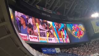 オリックス 宜保翔 2023夏の陣ユニ オリックス 宜保翔 2023夏の陣ユニ オリックス 宜保翔 2023夏の