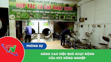 Nâng cao hiệu quả hoạt động của HTX nông nghiệp