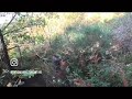 Wildboar hunting in Sicily , big boar vs bar 4x tracks 308w