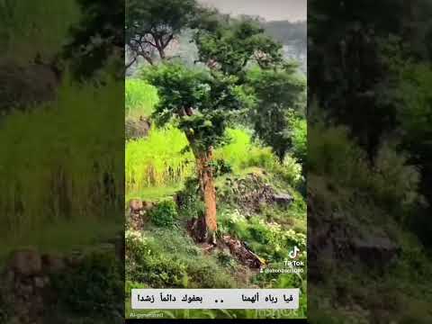 رسول الله علمنا وبالقرآن أدبنا أناشيد يمنيه قديمه اكسبلور ايقنت تيك توك لايك ترند فن 