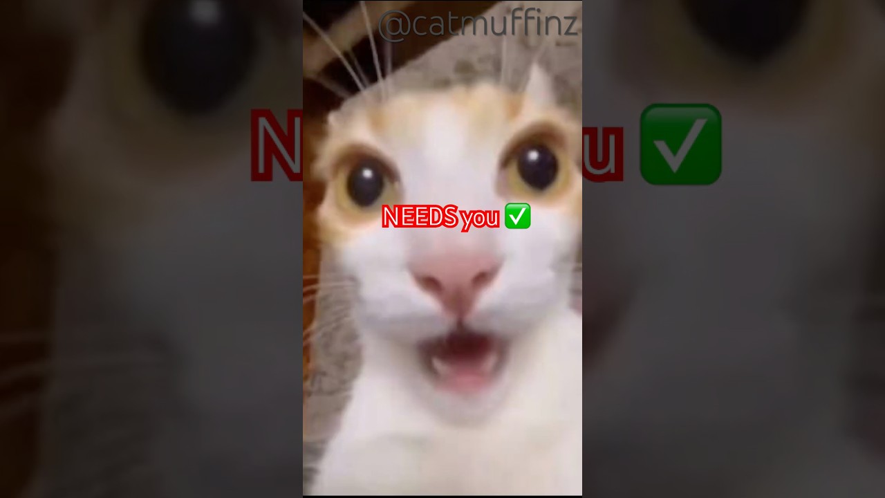 damn 🥀 subscribe for more! 