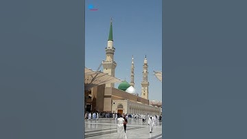 سوره الاخلاص #اكسبلور #tiktok #احاديث #foryou #لايك #ترند #abojody #duet #تيك_توك #دويتو #قرآن