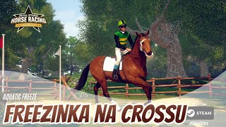 Freezinka na Crossu #3 || Rival Stars Horse Racing CZ