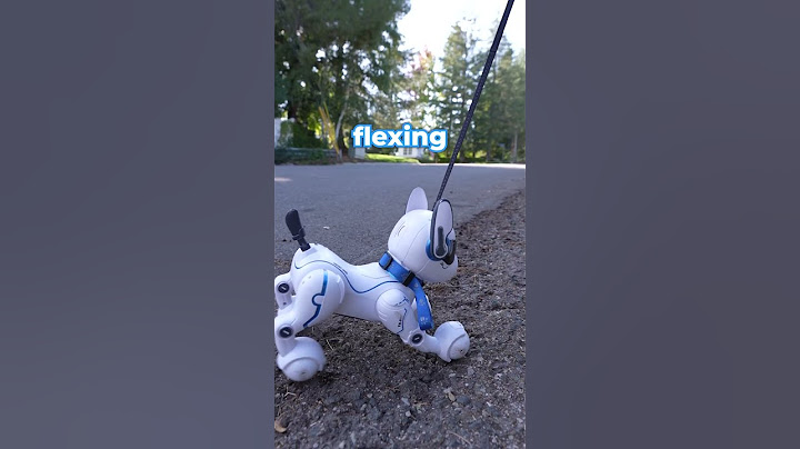 Who will run out of battery first? Robodog vs Real Dog