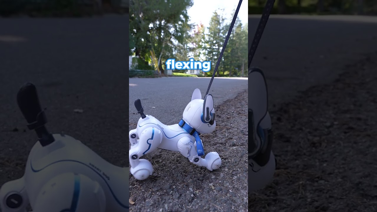 ⁣Who will run out of battery first? Robodog vs Real Dog