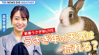 【お天気ライブ】2023年 仕事始めの空模様は？ 新春うさぎ年LIVE | TBS NEWS DIG Weather（2023年1月3日）