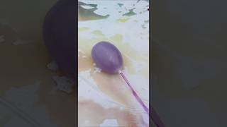 Water Splash Balloon Reverse Video