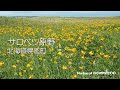 サロベツ原野