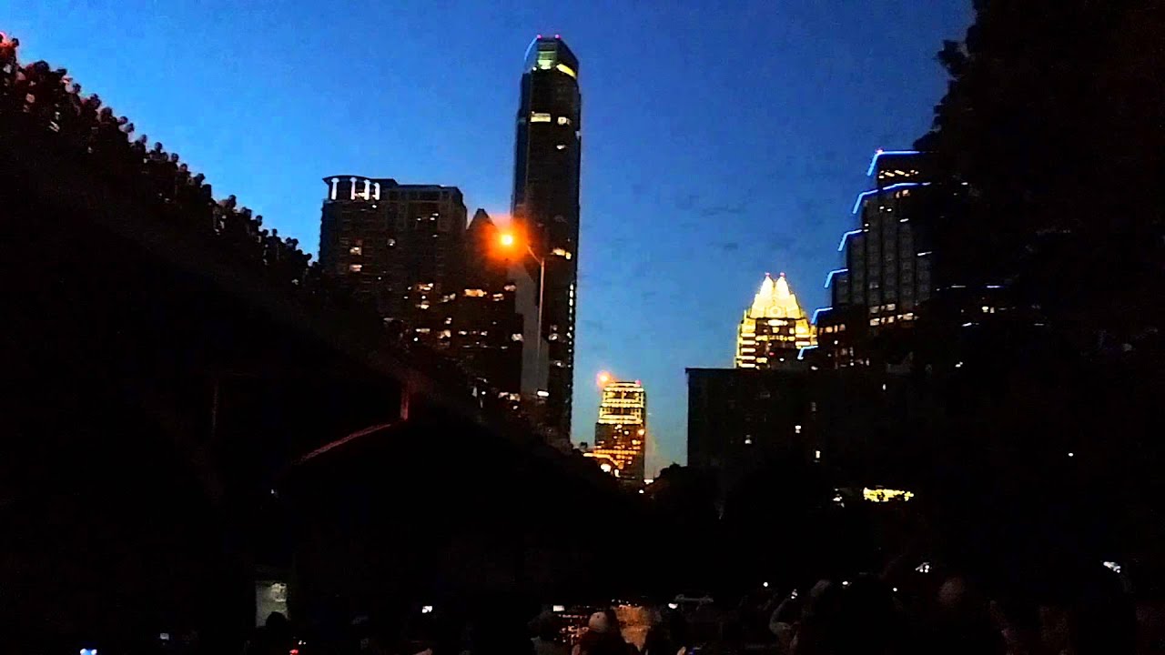 Flight of the Bats in Austin YouTube