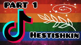 Hestishkin TikTok Complications | bratishkinoff/JesusAVGN [part 1]