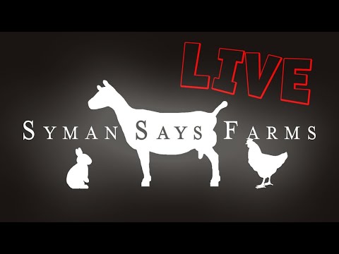 q&a-with-l&a-|-syman-says-farms