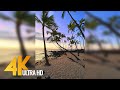 Beauty of Big Island's Nature, Hawaii for Vertical Displays -Relax Video with Soothing Nature Sounds