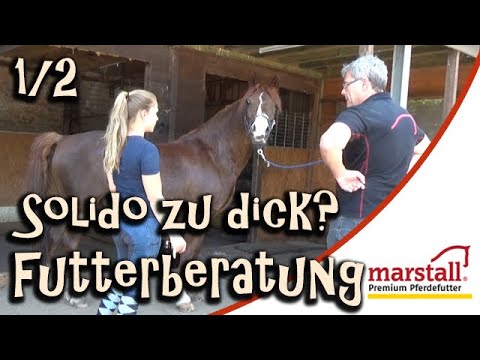 Ist Solido zu dick? Futterberatung mit Marstall Teil 1