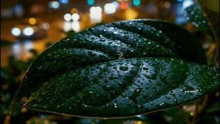 Suara hujan membuatmu mudah tidurr  dalam sekejap #rain #relaxing 