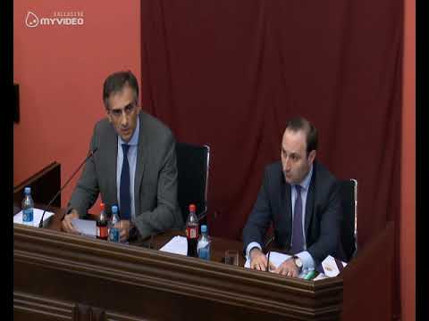 გაერთიანებულ კომიტეტებზე მელიასთვის იმუნიტეტის მოხსნას მხარი დაუჭირეს