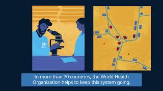 WHO: The Polio Surveillance System (Short version)