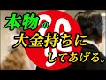 【斎藤一人…アメノミナカヌシ様がお金持ちにする人】やっと解禁になりました※「皆んなをお金持ちになるよ！」⚠️ 指導霊が力を貸す人 ⚠️ 指導霊が変わると起こる事12選！眠りながら聴いてください☺️