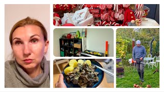 картинка: Странное Совпадение 🤯 Сравнила Платежи и Нашла Ошибку 🧐 Жарю Грибы 🍄 Влог 20.10.2025