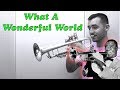 Louis Armstrong - What A Wonderful World (Trumpet Cover)