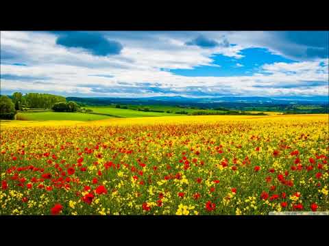 Al Ruqyah Al Shariah Full By Sheikh Saad Al Ghamdi الرقية الشرعية