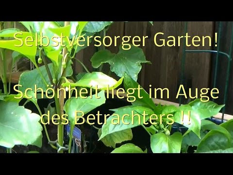 Video: Schönheit Und Ordnung Im Garten