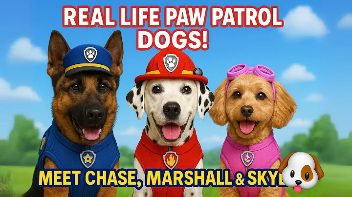 🚨 Real Life Paw Patrol Dogs! Meet Chase, Marshall & Skye! Kids Video 🐶