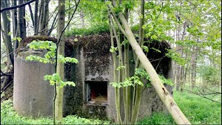 Beautifully hidden into the forest 🌳Abandoned WW2 Bunkers | Episode 38