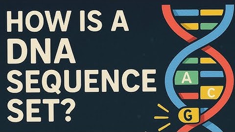 I remember DNA has A, T, C, and G... but who decides which ones go where? How does the sequence get