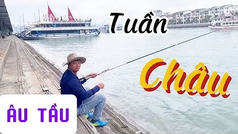 CÂU CÁ ÂU TẦU TUẦN CHÂU_ ĐIỂM CÂU VIEW TRIỆU ĐÔ/ @dicaucake