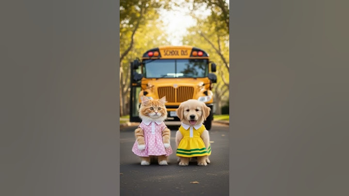 When Pets Go to School… CUTENESS ALERT! 🎓🐾 #shorts #ytshorts #blackhug