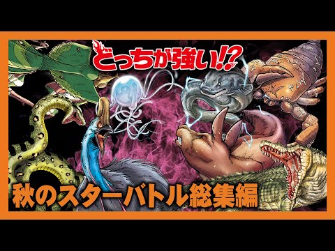 どっちが強い！？総集編】秋のスター動物バトル特集！「カマキリ