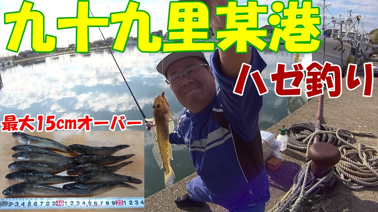 【2025釣行記 九十九里某港】★外房ハゼ釣り★『15cmオーバー連発』