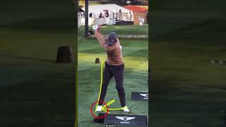 Adam Scott Golf Swing