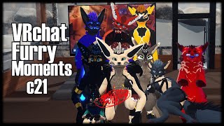VRchat Furry Moments(21)