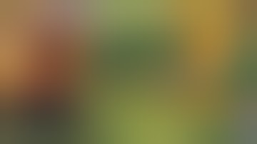 Pharsa Epic Skin Script - Empress Phoenix With Logo With Frame | Mobile Legends Bang Bang